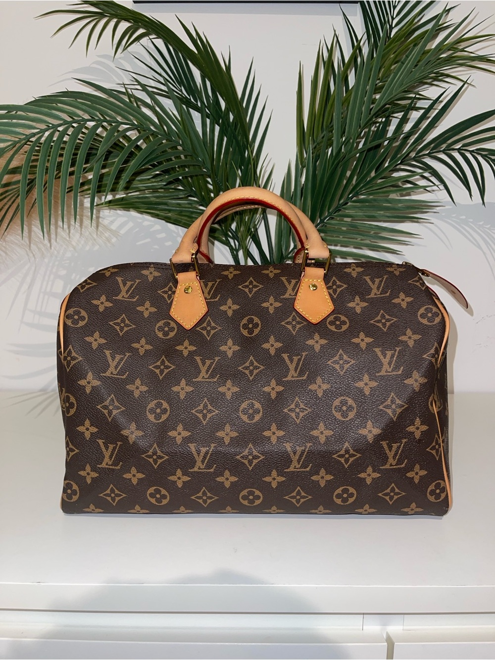 Louis Vuitton Brown Monogram Canvas Speedy Bag with Tan Vachetta Handles